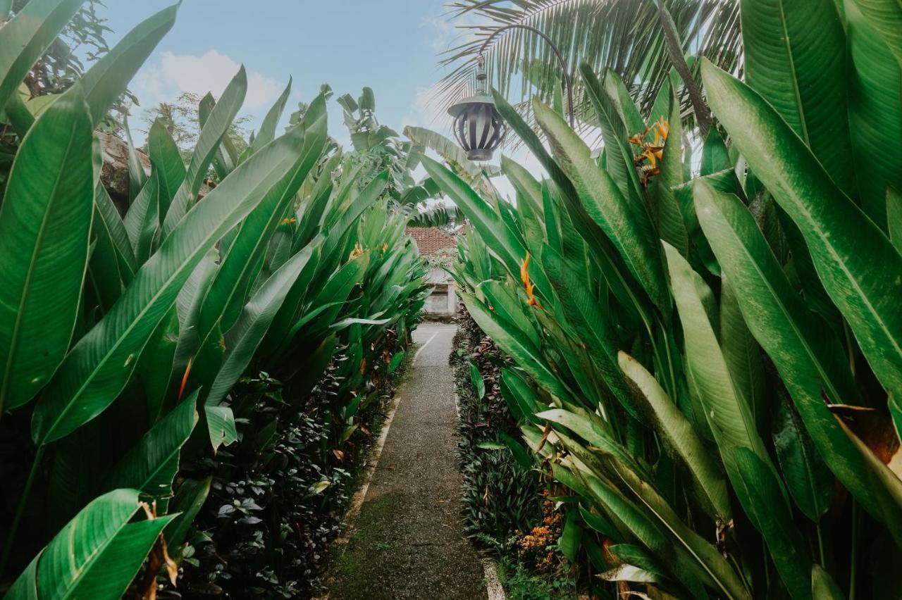 Anggira Villa Ubud Esterno foto